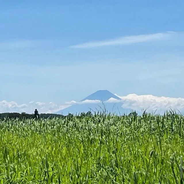 知ってますか？

お隣の富士見町は富士山が見えるので富士見町という名前なのですが、

富士見町に近い原村からも、富士山が見えるんです！

⁡
▼▼▼▼▼▼▼
⁡
公式ホームページは、
⁡
https://bgr-gaw.com/
⁡
⚫︎ご予約受付中！
※ホームページ内の「料金・ご予約」ページよりお申し込みください。
⁡
▲▲▲▲▲▲▲
⁡
#gaw 
#educationgame 
#educationgames 
#cardgame 
#cardgames 
#boardgame 
#boardgames 
#boardgamer 
#boardgamers 
#eurogames 
#spiel 
#bgg 
#analoggames 
#八ヶ岳 
#原村 
#社内研修 
#社員研修 
#ボドゲ 
#ボードゲーム 
#アナログゲーム 
#カードゲーム 
#アナログゲームマスター
#あだちのyeah 
#ゲームマスター 
#富士山