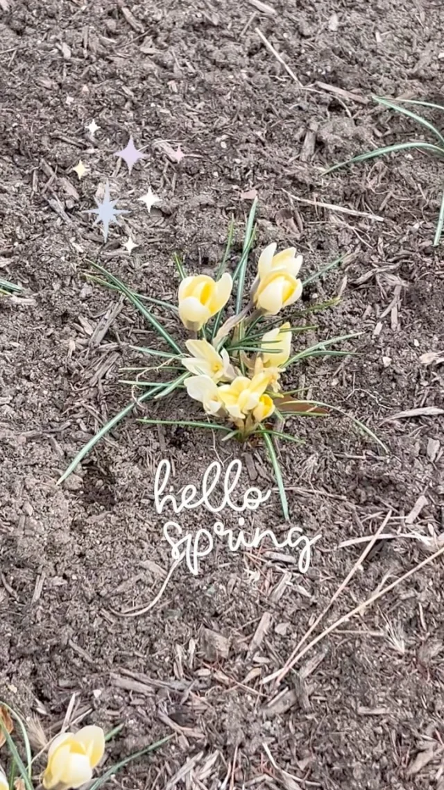原村にも春が訪れました！

球根のお花が逞しく土のなかから顔をだしてくれましたよ！

◎◎◎◎◎◎

GAWは…

都心から電車や車で約2時間半でたどり着く八ヶ岳・原村。GAWは、この大自然の中で体験する“大人のためのボードゲーム空間”です。

▼▼▼▼▼▼▼

公式ホームページは、

https://bgr-gaw.com/

⚫︎ご予約受付中！
※ホームページ内の「料金・ご予約」ページよりお申し込みください。

▲▲▲▲▲▲▲

#gaw 
#educationgames 
#cardgame 
#boardgames
#boardgamer 
#analoggames 
#eurogames 
#resort 
#spie 
#bgg 
#八ヶ岳 
#原村 
#社内研修 
#社員研修 
#ボドゲ 
#ボードゲーム 
#アナログゲーム 
#カードゲーム 
#アナログゲームマスター
#あだちのyeah 
#春の訪れ
