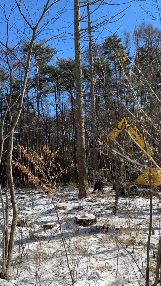 ただいまGAWでは、倒木防止のための伐採中！！


◎◎◎◎◎◎

GAWは…

都心から電車や車で約2時間半でたどり着く八ヶ岳・原村。GAWは、この大自然の中で体験する“大人のためのボードゲーム空間”です。

▼▼▼▼▼▼▼

公式ホームページは、

https://bgr-gaw.com/

⚫︎ご予約受付中！
※ホームページ内の「料金・ご予約」ページよりお申し込みください。

▲▲▲▲▲▲▲

#gaw 
#ボドゲ 
#チームビルディング 
#社員研修
#ボードゲーム